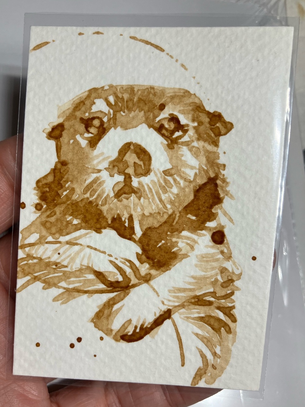 Aceo sea otter coffee painting ATC Java art fun mini gift or treat yourself